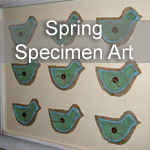 Spring Specimen Art