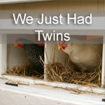 We just had twins!