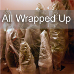 All Wrapped Up