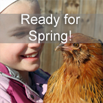 Ready for Spring!