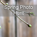 Spring Photo Hunt