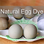 Natural Egg Dye
