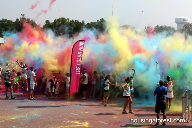 The Minneapolis Color Run – Housing a Forest