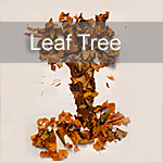 Autumn Trees