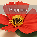 Poppies