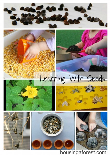 Learning with Seeds
