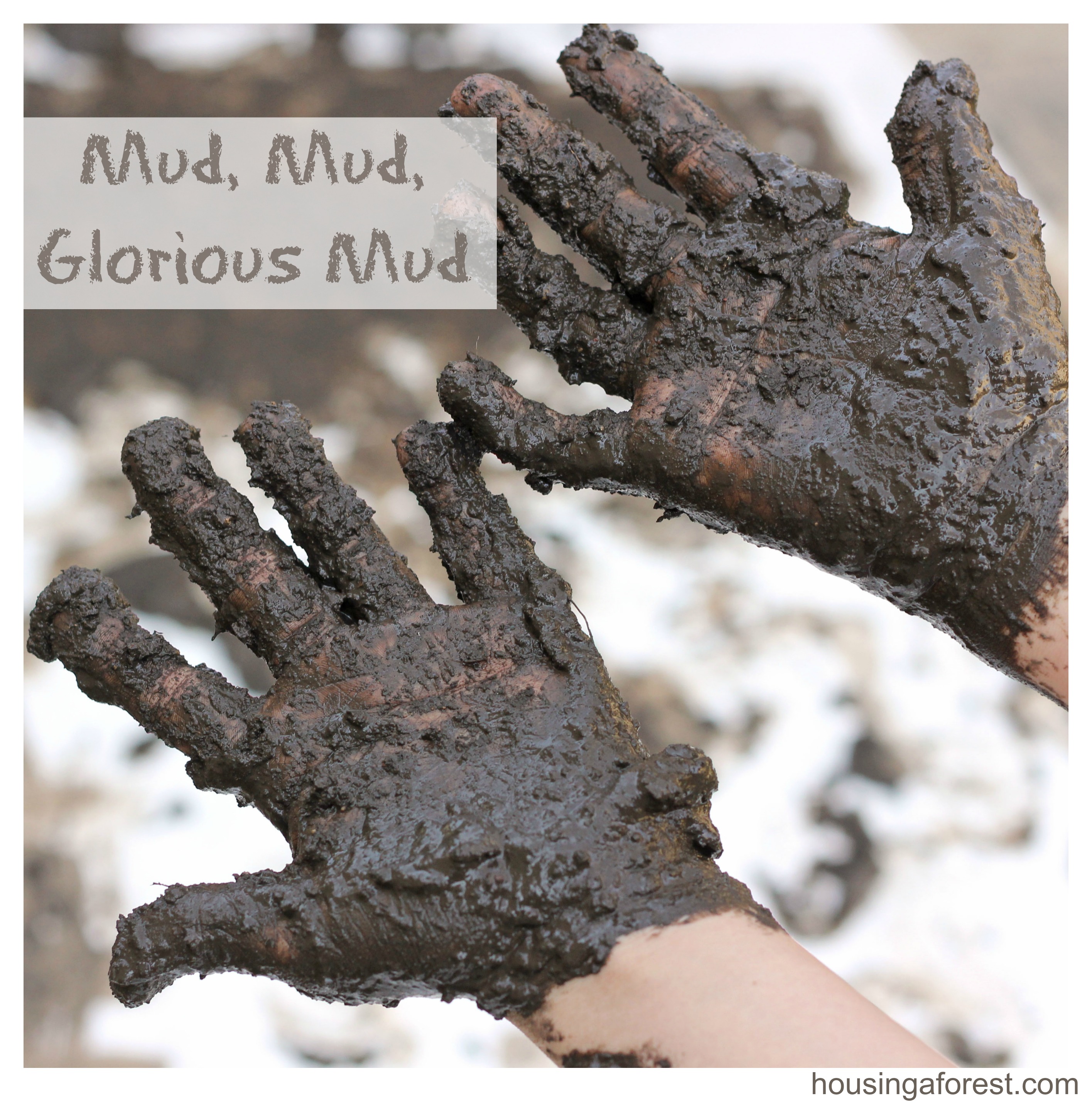 http://www.housingaforest.com/wp-content/uploads/2013/04/Mud-Mud-Glorious-Mud.jpg