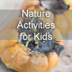 Nature Activities for Kids
