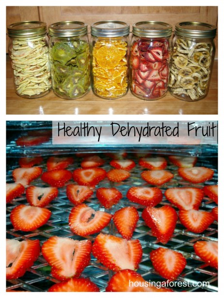 Healthy Dehydrated Fruit