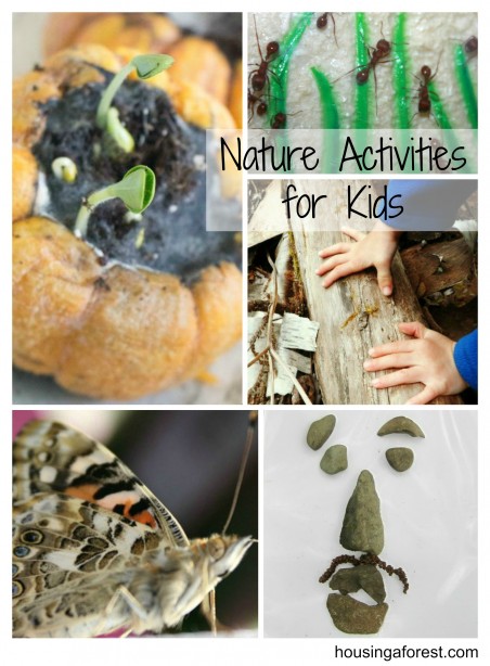 Nature Activities for kids