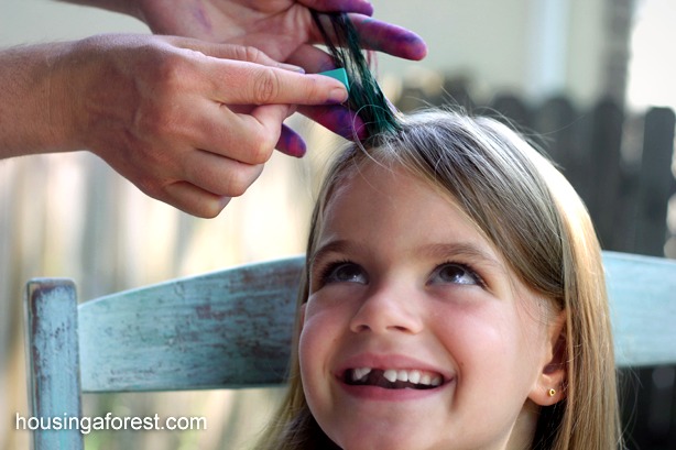 How to Chalk Hair – Housing a Forest