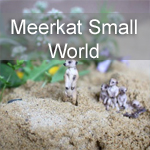 Meerkat Small World: a Child-Led Literacy Adventure