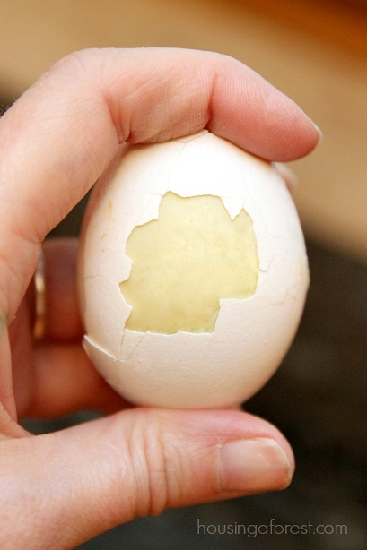 Make Golden Eggs Easily! 